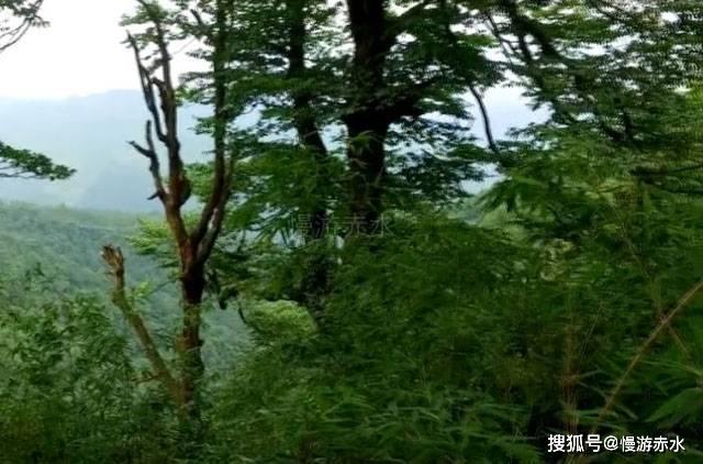 历史上最被误解的人是谁？